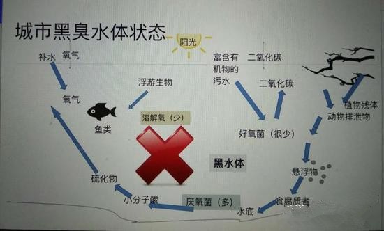 江蘇億元投資治污新技術(shù) 石墨烯能否治理黑臭水體？