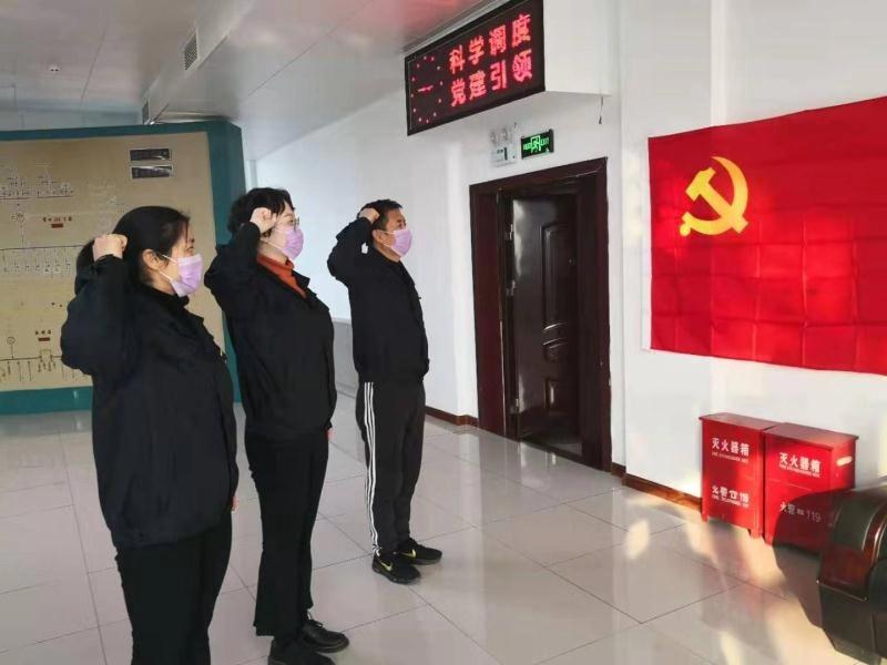 調(diào)控分中心黨支部對黨旗莊嚴宣誓 段敏(右三).jpg