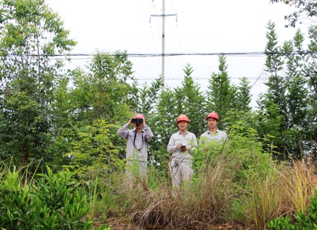 國網(wǎng)江永縣供電公司:負(fù)責(zé)人帶隊(duì)巡線，精施策護(hù)網(wǎng)保電