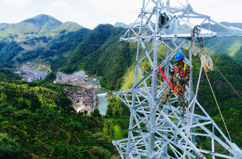 國(guó)網(wǎng)壽寧縣供電公司:“定制茶園”里的脫貧密碼