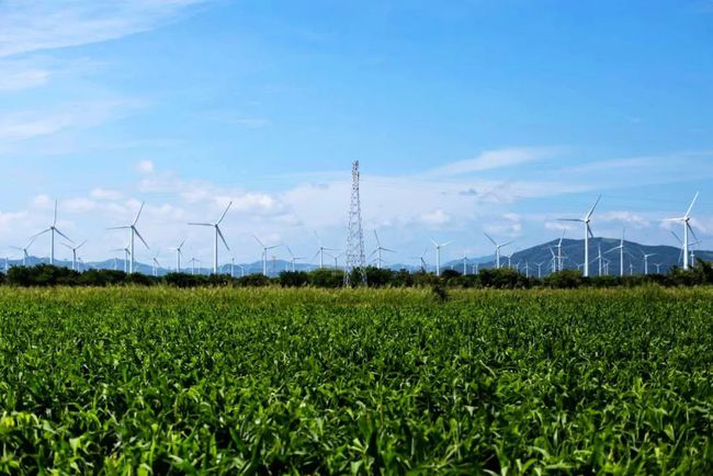 收購墨西哥818MW光伏電站，國家電投境外光伏電站裝機(jī)超6GW