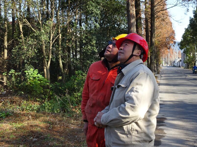 國(guó)網(wǎng)余姚市供電公司:加大現(xiàn)場(chǎng)稽查力度 筑牢冬季供電“底板”