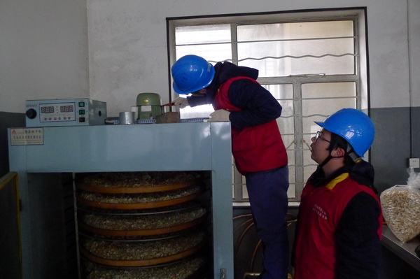 國網(wǎng)寧?？h供電公司：電力紅馬甲服務(wù)鄉(xiāng)村企業(yè) ，讓黃精變“黃金”