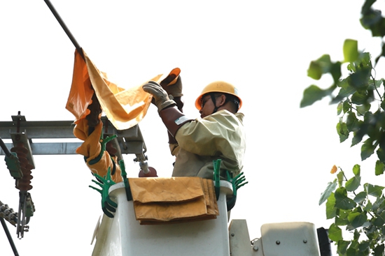 國網(wǎng)山東壽光供電:麥?zhǔn)諘r(shí)節(jié)熱浪襲 帶電消缺助豐收