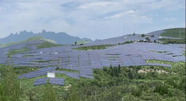 少長(zhǎng)一棵草，多發(fā)一度電，助力碳中和