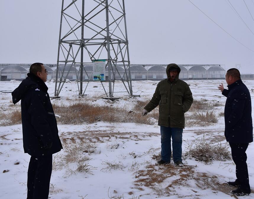二連浩特供電公司：開展客戶側(cè)安全檢查，確?？诎犊蛻粝楹兔髁吝^春節(jié)