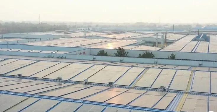 投資達9億！山東寒亭區(qū)447MW整縣分布式光伏項目正式啟動