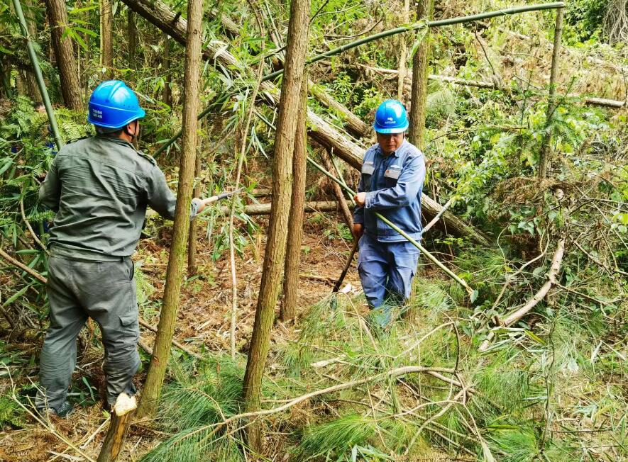 南方電網(wǎng)荔波供電局線路憂患如“猛獸”，通道清通要爭先