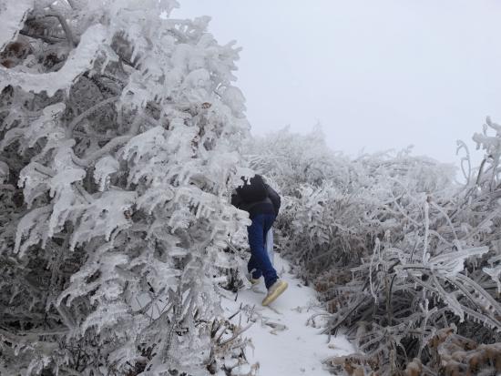 【新春走基層】迎雪而上攻堅行，奮戰(zhàn)不息護光明