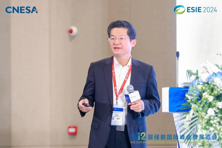 林澤波：儲能企業(yè)出海不是價格競爭，而是以定制優(yōu)質(zhì)產(chǎn)品和服務(wù)實現(xiàn)可持續(xù)發(fā)展
