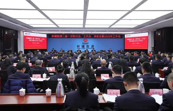 國能新疆能源召開二屆一次職代會、工代會、表彰會暨2025年工作會