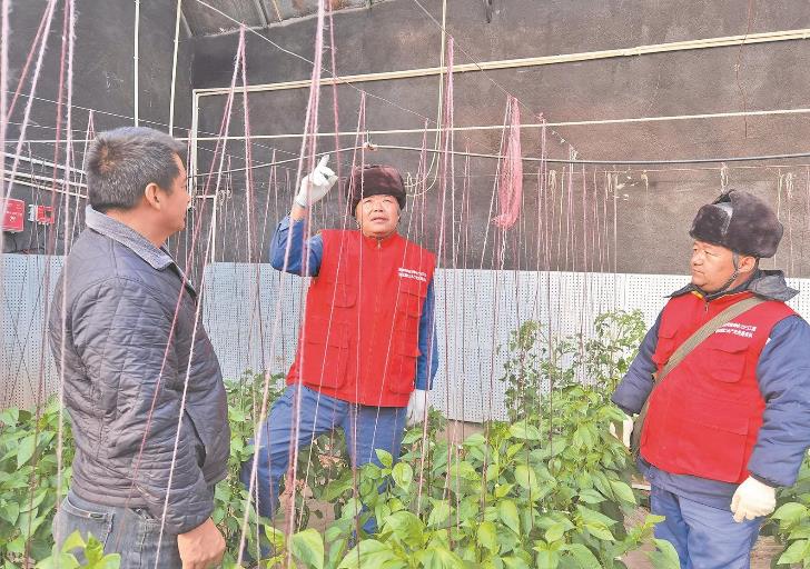 青海循化撒拉族自治縣大棚變智能，果蔬產(chǎn)量增