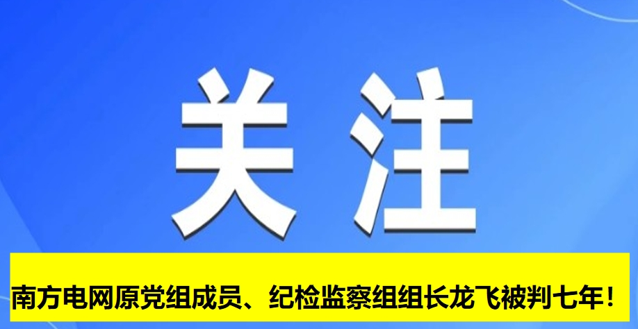 南方電網(wǎng)原黨組成員、紀(jì)檢監(jiān)察組組長(zhǎng)龍飛被判